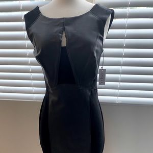 Black leather dress by Velvet